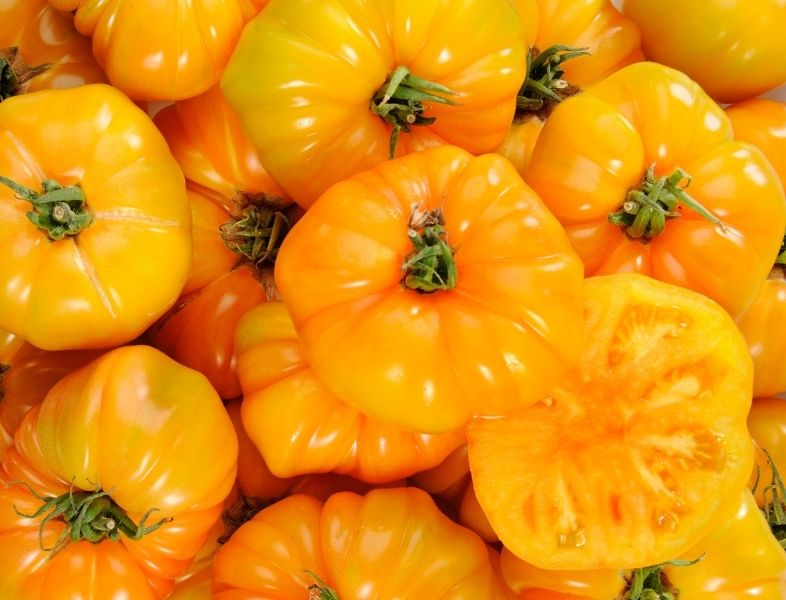 Plant de tomate Ananas