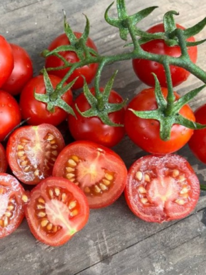 Surplus légumes bio