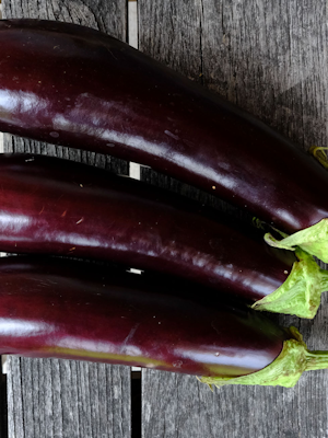 Aubergines Violette Longue