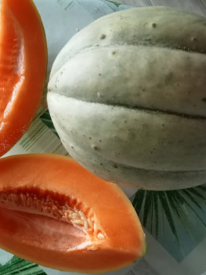 Melons Ancienne Vieille France