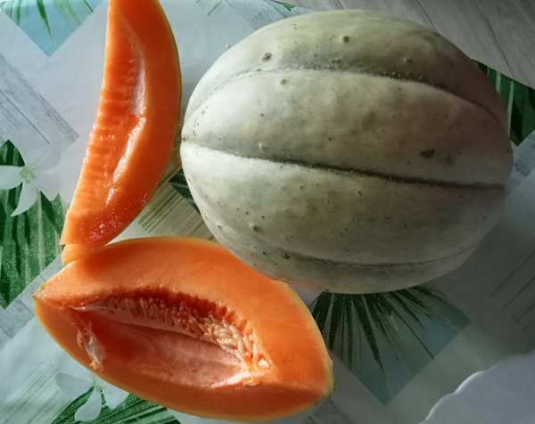 Melons Ancienne Vieille France