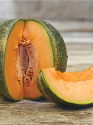 Melons Petit Gris de Rennes