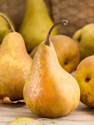 Poires