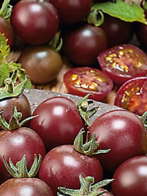 Tomates Black Cherry