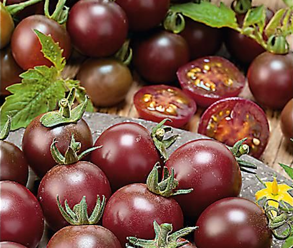 Tomates Black Cherry