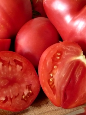 Tomates Cœur de Bœuf Rose