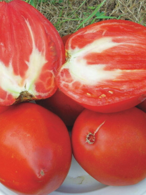 Tomates Cœur de Bœuf Rouge