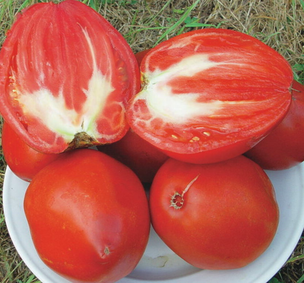 Tomates Cœur de Bœuf Rouge