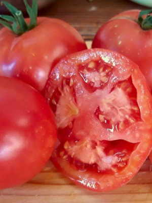 Tomates Rose de Berne