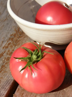 Tomates Savignac ou Dufresne